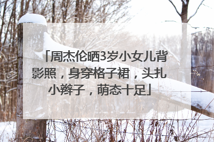 周杰伦晒3岁小女儿背影照，身穿格子裙，头扎小辫子，萌态十足